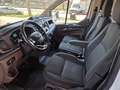 Ford Transit Custom FT 320 L2 Van Trend EcoBlue Hybrid - thumbnail 11