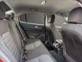 Alfa Romeo Giulia 2.2 PDC Navi Tempomat Klima Rot - thumbnail 13