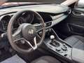 Alfa Romeo Giulia 2.2 PDC Navi Tempomat Klima Rot - thumbnail 10