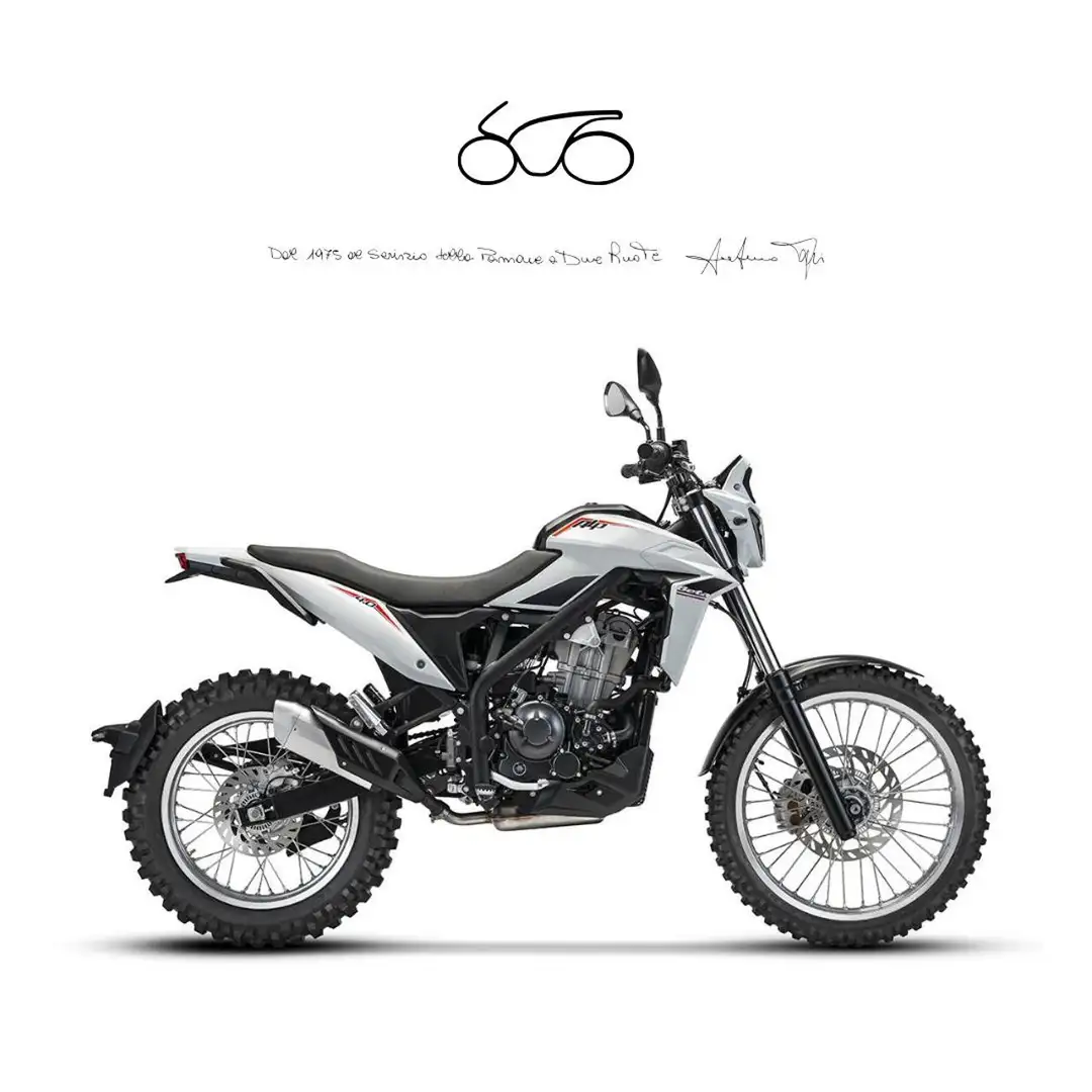 Beta ALP X Grigio - 1