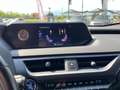 Lexus UX 200 Hybrid 4WD Premium Grijs - thumbnail 11