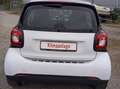 smart Sonstige smart fortwo coupe coupe Km:81.800 Weiß - thumbnail 10