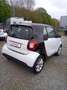 smart Sonstige smart fortwo coupe coupe Km:81.800 Weiß - thumbnail 11
