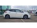 Nissan Leaf Tekna 63 kw Bianco - thumbnail 2