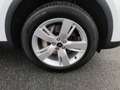 Audi Q5 50 TFSI e q. S-Tronic Advanced, LED, AHK, ACC Weiß - thumbnail 16