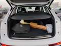 Audi Q5 50 TFSI e q. S-Tronic Advanced, LED, AHK, ACC Weiß - thumbnail 13