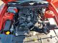Ford Mustang 3.7 Automatik Xenon el. Sitze Rouge - thumbnail 17
