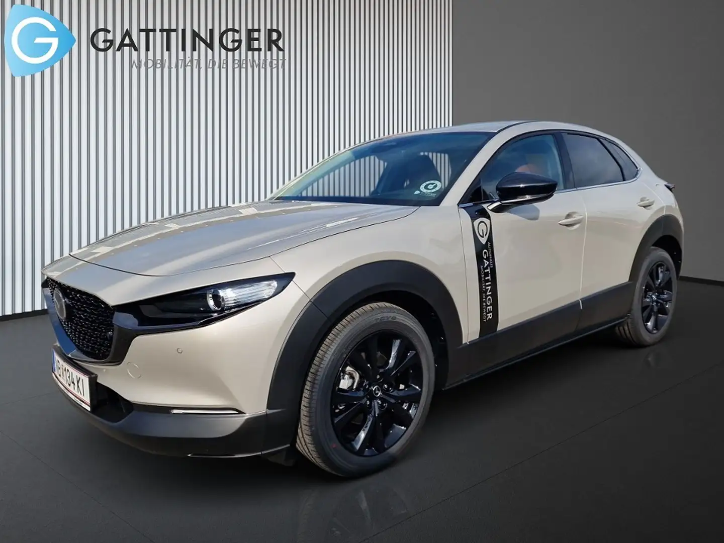 Mazda CX-30 e-Skyactive G140 Nagisa - 2