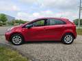 Kia Rio 1.2 CVVT Comfort Pack 5-deurs AIRCO Roşu - thumbnail 19