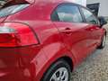 Kia Rio 1.2 CVVT Comfort Pack 5-deurs AIRCO Roşu - thumbnail 8
