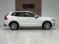 Volvo XC60 2.0 D3 Momentum Blanco - thumbnail 8