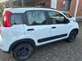 Fiat Panda Panda 0.9 t.air 4X4 INARRESTABILE PREZZO REALE Bianco - thumbnail 5