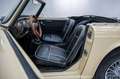 Triumph TR4 '65 CH1095I Beige - thumbnail 18
