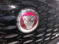 Jaguar F-Pace R-Dynamic HSE D300 Aut. | Auto Stahl Wien 23 Siyah - thumbnail 11
