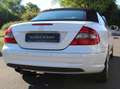 Mercedes-Benz CLK 350 CLK 350 Grand Edition (209.456) Weiß - thumbnail 4