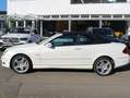 Mercedes-Benz CLK 350 CLK 350 Grand Edition (209.456) Weiß - thumbnail 1