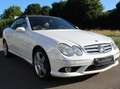 Mercedes-Benz CLK 350 CLK 350 Grand Edition (209.456) Weiß - thumbnail 3
