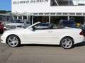 Mercedes-Benz CLK 350 CLK 350 Grand Edition (209.456) Weiß - thumbnail 6