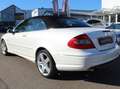 Mercedes-Benz CLK 350 CLK 350 Grand Edition (209.456) Weiß - thumbnail 5