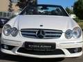 Mercedes-Benz CLK 350 CLK 350 Grand Edition (209.456) Weiß - thumbnail 12