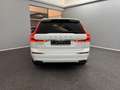 Volvo XC60 T6 INSCRIPTION*PANO*PILOT*360*20Z*AHK*STD-H Weiß - thumbnail 6