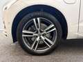 Volvo XC60 T6 INSCRIPTION*PANO*PILOT*360*20Z*AHK*STD-H Weiß - thumbnail 4