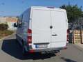 Mercedes-Benz Sprinter 316 CDI Sprinter 906.235 Weiß - thumbnail 3
