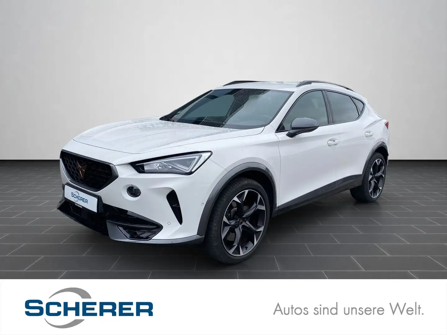 CUPRA Formentor 2.0 TSI LED KAMERA NAVI Weiß - 1