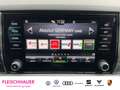 Skoda Karoq 1.5 TSI DSG Digitales Cockpit LED klima DAB Ambien Silber - thumbnail 12