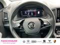 Skoda Karoq 1.5 TSI DSG Digitales Cockpit LED klima DAB Ambien Silber - thumbnail 14