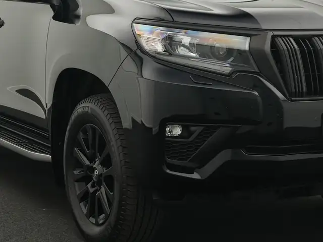 Toyota Land Cruiser view 9