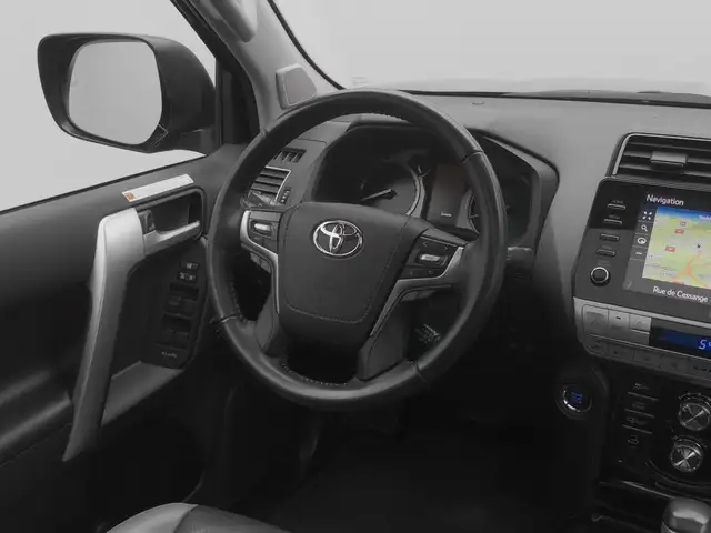 Toyota Land Cruiser view 19