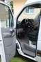 Mercedes-Benz Sprinter 311 2.1 CDI L2H2 RWD Blanc - thumbnail 12