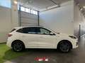 Ford Kuga 1.5 EcoBlue 120 CV 2WD ST-Line Bianco - thumbnail 4