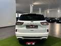 Ford Kuga 1.5 EcoBlue 120 CV 2WD ST-Line Bianco - thumbnail 6
