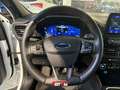 Ford Kuga 1.5 EcoBlue 120 CV 2WD ST-Line Bianco - thumbnail 14