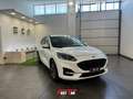 Ford Kuga 1.5 EcoBlue 120 CV 2WD ST-Line Bianco - thumbnail 3