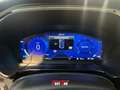 Ford Kuga 1.5 EcoBlue 120 CV 2WD ST-Line Bianco - thumbnail 13