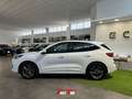 Ford Kuga 1.5 EcoBlue 120 CV 2WD ST-Line Bianco - thumbnail 8