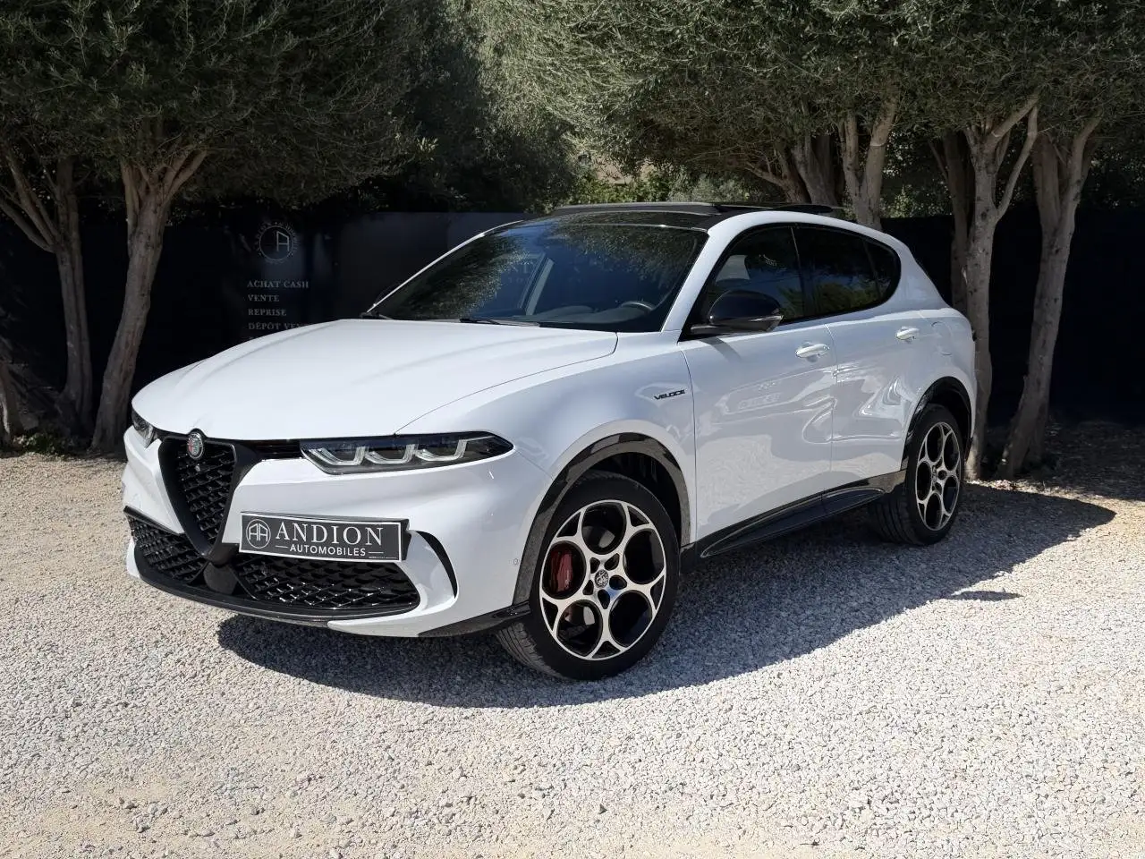 Alfa Romeo Tonale