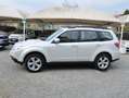 Subaru Forester Forester 2.0d XS Exclusive 146CV Blanc - thumbnail 4