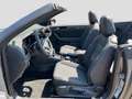 Volkswagen T-Roc 1.5TSI DSG Edition Grey AHK Cam Grau - thumbnail 10