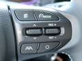 Kia Picanto Vision SHZ LHZ Navi Kam Android Carplay Grün - thumbnail 25