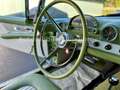 Ford Thunderbird RARE sage Green Continental kit Grün - thumbnail 14
