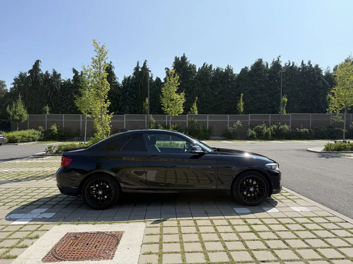 BMW 220 Advantage - 2