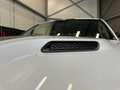 Dodge RAM 1500 sport/Crew cab/black pack/Luchtvering/prins/ Blanc - thumbnail 8