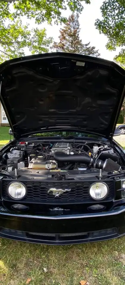 Ford Mustang снимка Ford Mustang