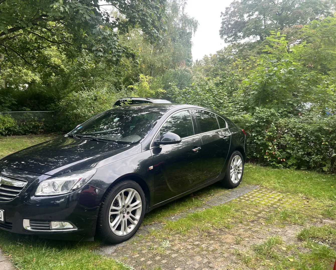 Opel Insignia 2.0 BiTurbo CDTI 4x4 Aut. Innovation - 1