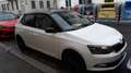 Skoda Fabia Skoda Fabia 1.4 TDI 66 KW  - TWIN COLOR D.E. Bianco - thumbnail 7