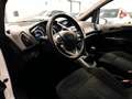 Ford B-Max B-Max 1.0 ecoboost Business 100cv-PREZZO REALE !!! Bianco - thumbnail 8